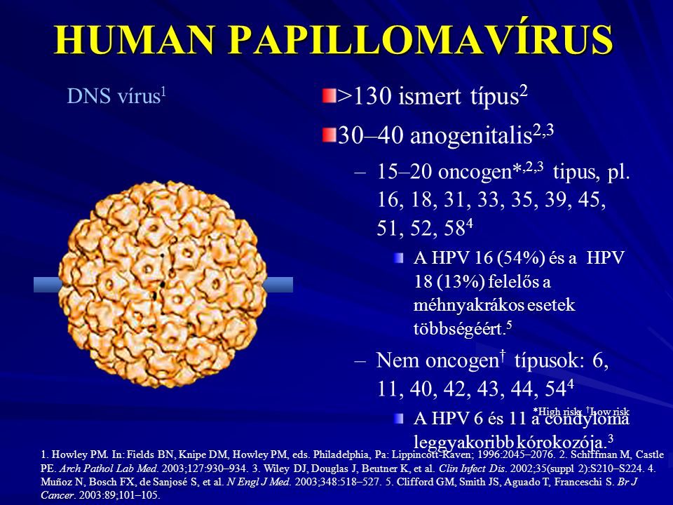 humán papillomavírus hpv vakcina 3 adag 2)